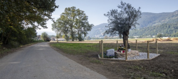 quei-due-giorni-vissuti-in-una-sorta-di-limbo