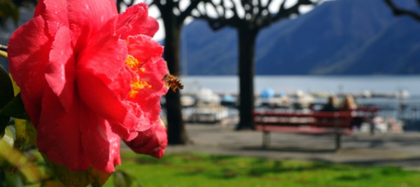passaggio-del-46-parallelo-a-nord-di-lugano-da-valorizzare