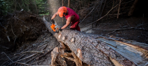 lumino-contro-pericoli-naturali-e-roghi-si-punta-pure-sul-bosco