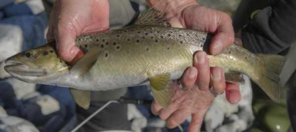 corso-di-pesca-con-la-locarnese