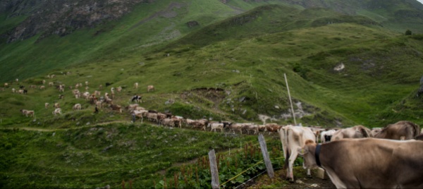 chiusa-la-strada-altanca-piora-per-lo-scarico-dell-alpe