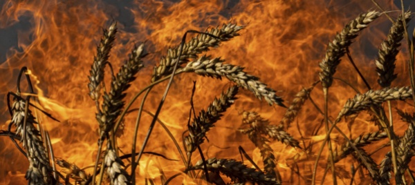 ucraina-bombe-russe-a-sud-in-fumo-3mila-tonnellate-di-grano