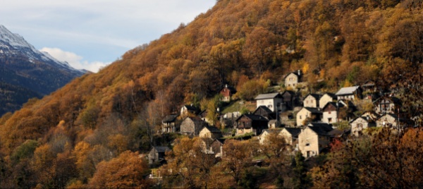 alla-scoperta-della-villa-di-medra-tra-natura-e-cultura