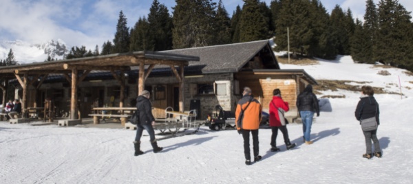 mesocco-alle-urne-per-regolarizzare-l-alpe-pian-doss