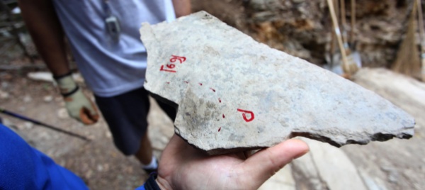 scoperto-un-cuore-di-380-milioni-di-anni-fa