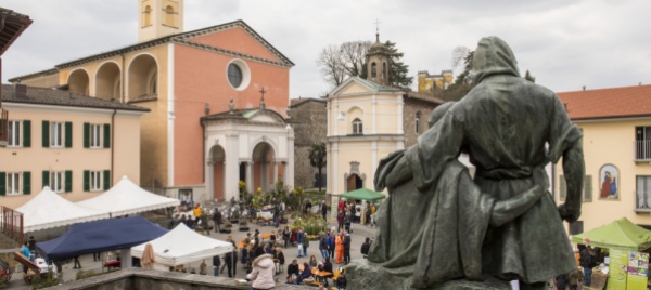 stabio-piantati-dei-gelsi-nel-prato-del-museo