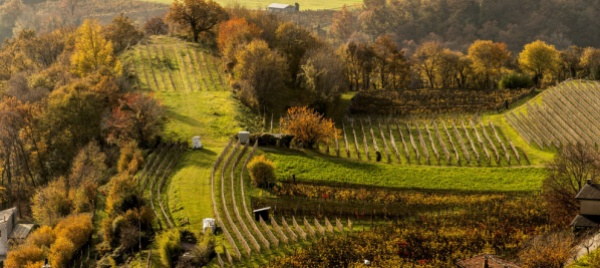 23-autunno-gastronomico-al-via-in-una-cinquantina-di-ristoranti