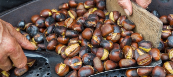 castagnata-e-ballo-liscio-con-l-atte-blenio-riviera