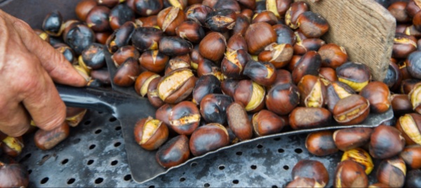 fescta-di-castegn-in-quel-di-vairano