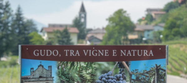 a-gudo-la-lunga-attesa-dei-progetti-e-finita-forse