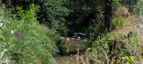 il-laveggio-un-fiume-da-vivere-e-con-meno-asfalto
