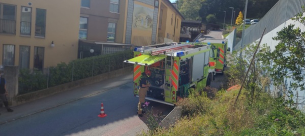 fiamme-nei-boschi-di-arogno-poco-distanti-dalle-case