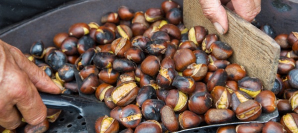 tutti-a-solduno-a-gustare-le-caldarroste