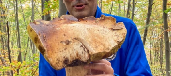 stagione-senza-funghi-sul-monte-generoso-e-sempre-caccia-grossa