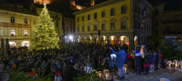 altro-appuntamento-a-bellinzona-con-una-volpe-in-citta
