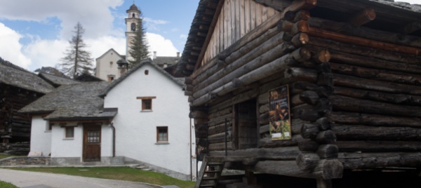ggurijnar-schtammbomm-l-albero-genealogico-di-bosco-gurin
