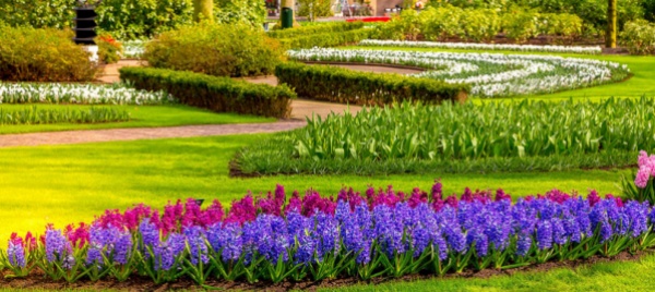 jardinsuisse-ticino-coltiva-il-futuro