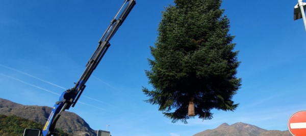 da-losone-a-locarno-il-breve-viaggio-dell-albero-di-natale