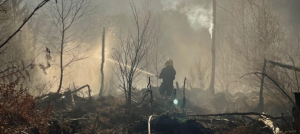 incendio-di-loco-militi-ed-elicottero-impegnati-tutto-il-giorno