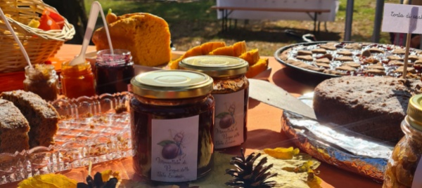 la-via-degli-alberelli-di-natale-con-l-associazione-4-supermamme