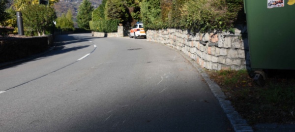 centauro-ferito-per-evitare-l-auto-che-ha-invaso-la-sua-corsia