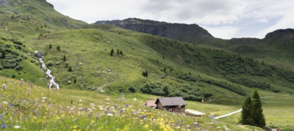 sulla-protezione-della-biodiversita-la-svizzera-e-indietro