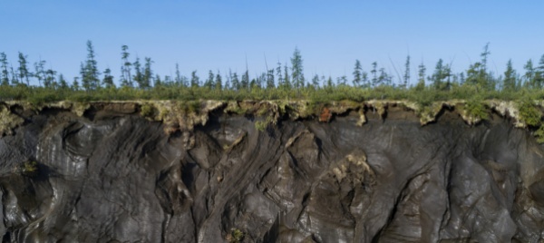 risuscitati-virus-zombie-rimasti-per-millenni-nel-permafrost