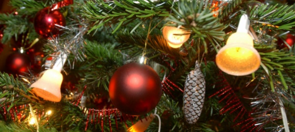 a-osogna-un-albero-di-natale-alimentato-a-pedali