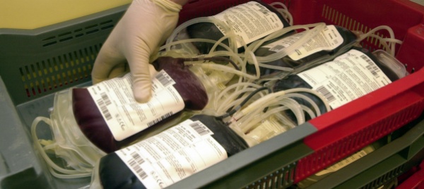 bimbo-in-pericolo-per-nostro-figlio-solo-sangue-non-vaccinato