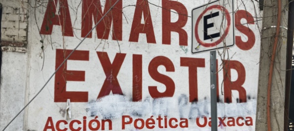 disavventure-latine-messico-diari-da-oaxaca